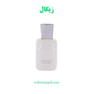 عطر مردانه دلگادو رایحه گالووی