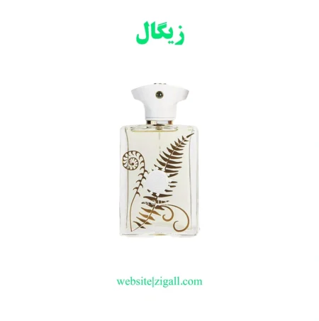 عطر مردانه دلگادو رایحه براکن آمواج